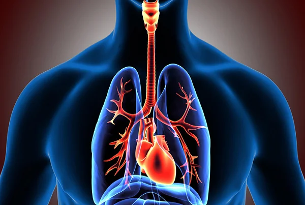 Homoeopathy