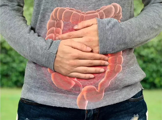 Gastrology